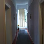 Apartman Azur Bacvice Split